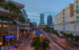 Life in South Tampa: A Complete Guide for Newcomers